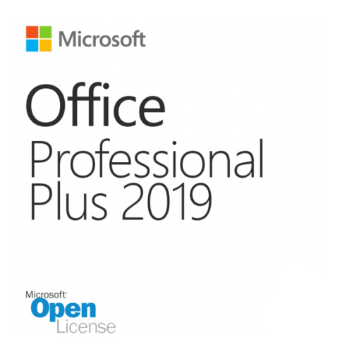 Microsoft Office Pro Plus 2019 SNGL OLP NL  79P-05729