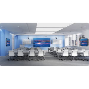 Yealink M500-0010 (MeetingEye 500)